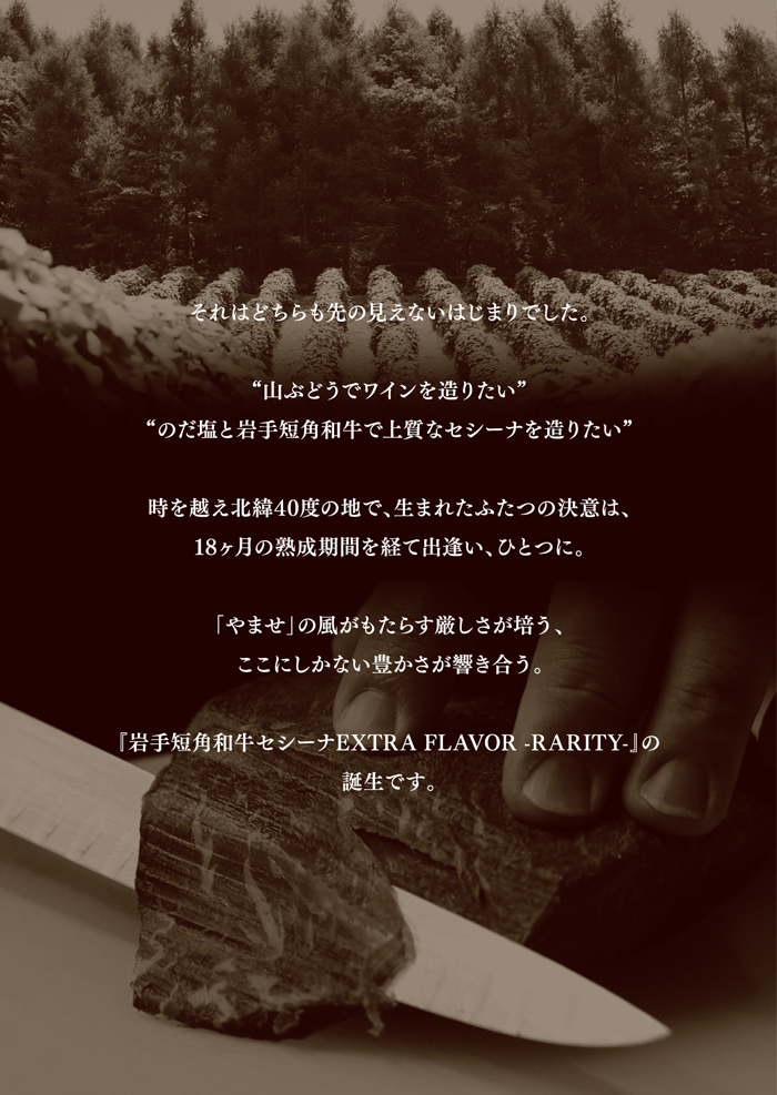 【新発売】レアリティ・CECINA EXTRA FLAVOR – RARITYセット